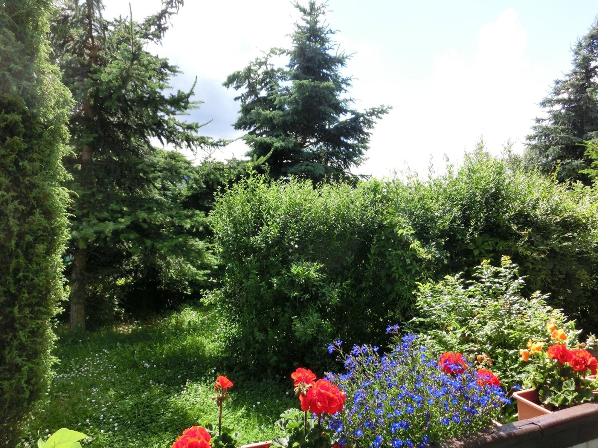 Holiday Home In Cattenstedt Harz With Garden Extérieur photo