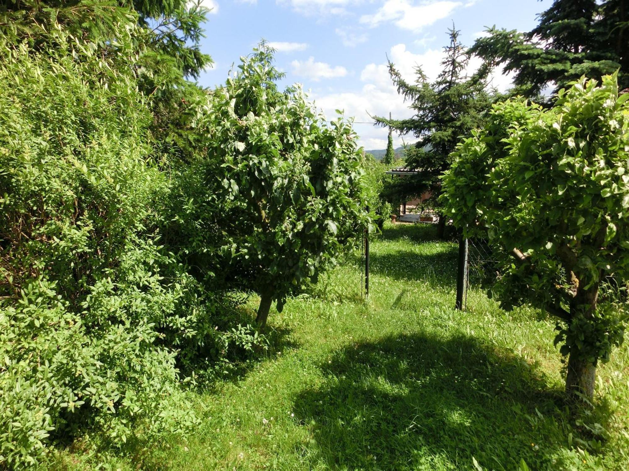 Holiday Home In Cattenstedt Harz With Garden Extérieur photo